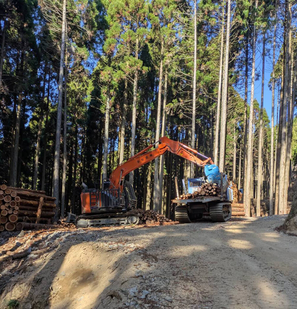 造船×林業 地域に根差し、海と山を守る