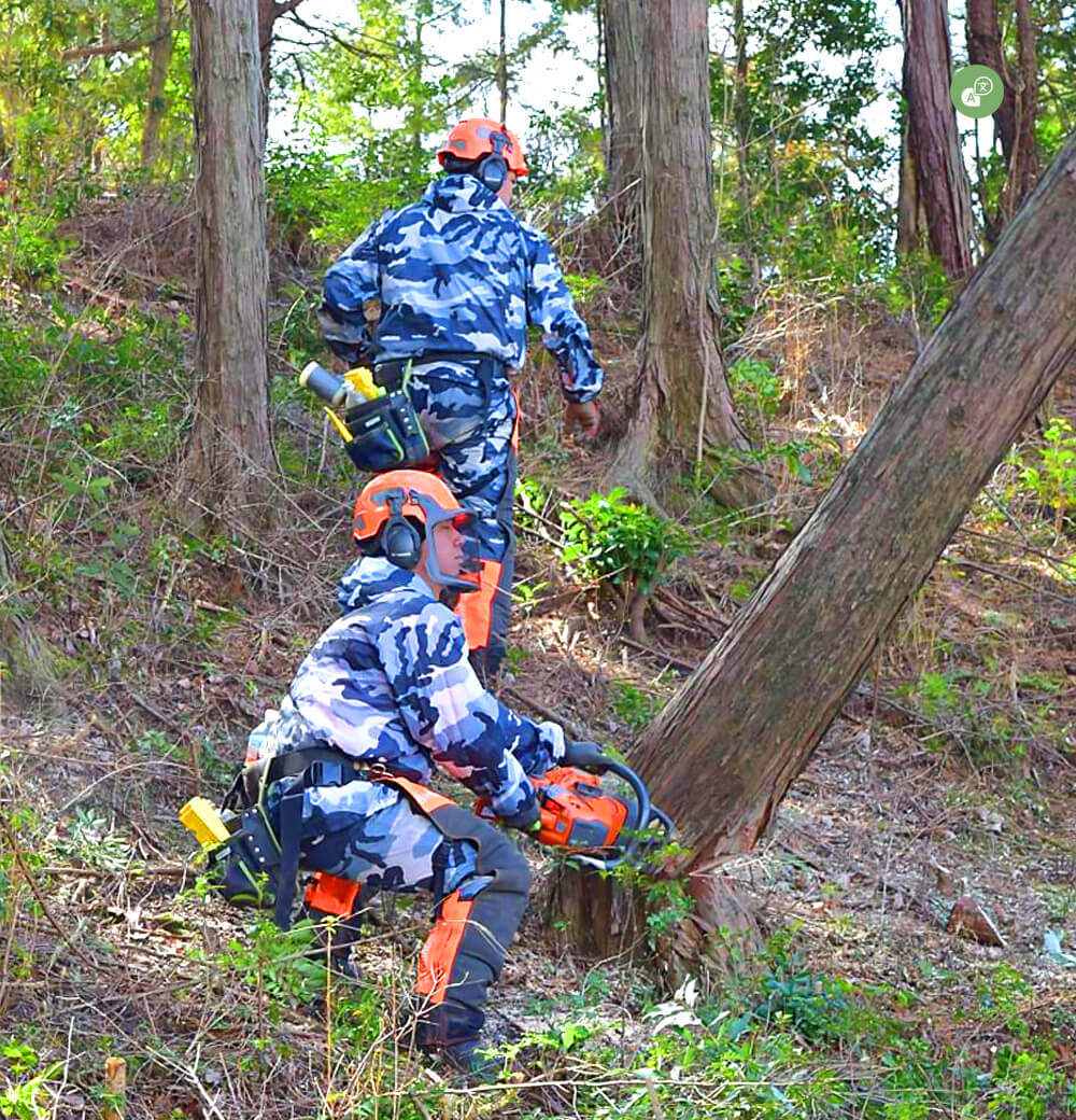 造船×林業 地域に根差し、海と山を守る