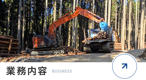 bnrhalf_business_off